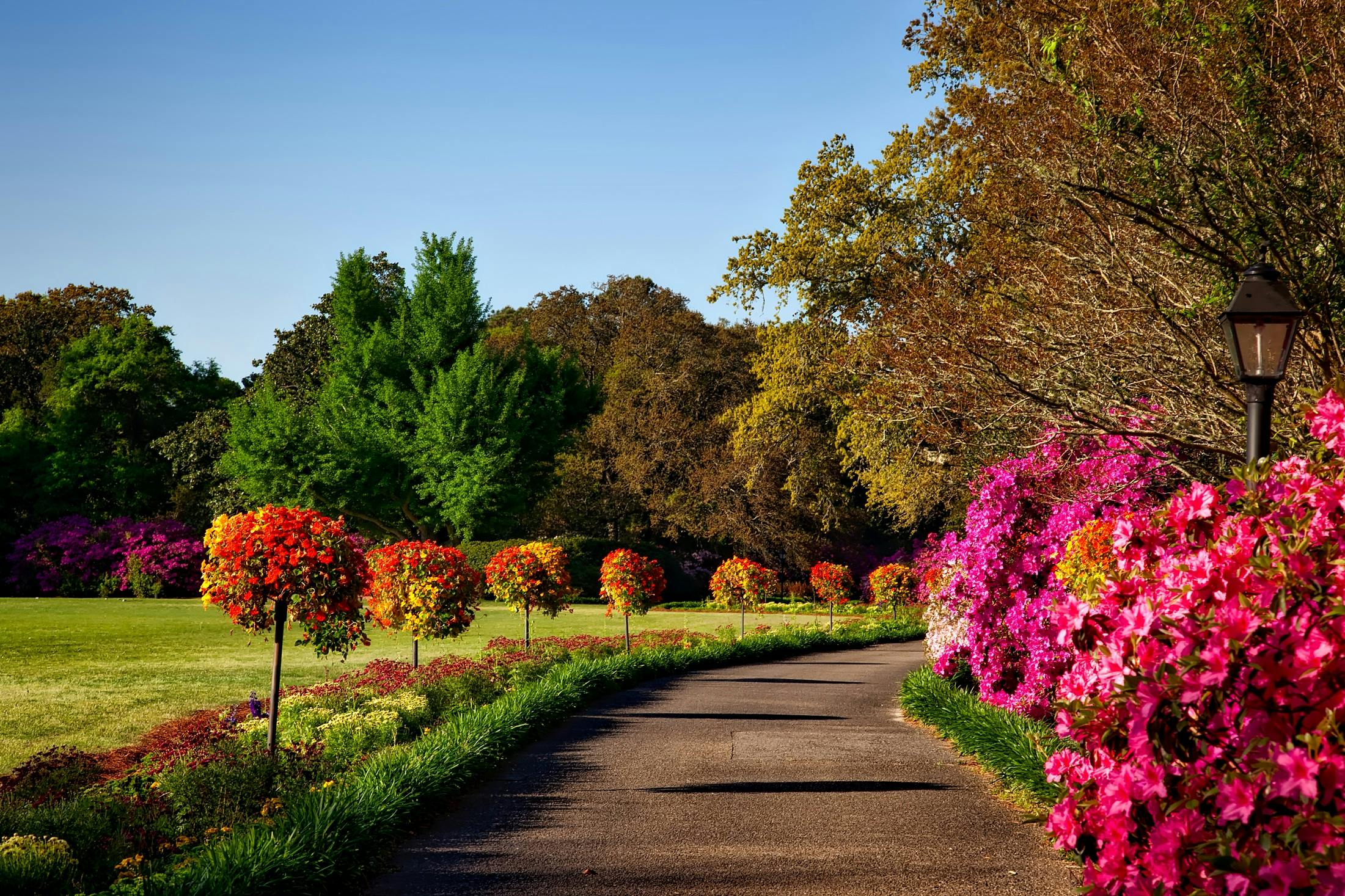 Garden walks